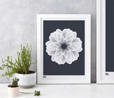 Wall art ideas, economical screen prints, Dahlia Peony in sheer slate