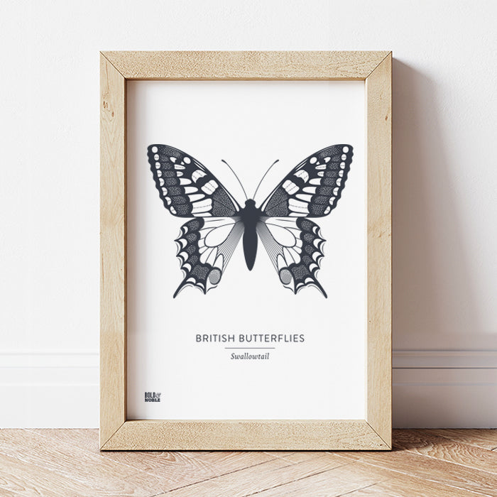 British Butterflies 'Swallowtail' Print in Sheer Slate