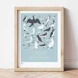 'British Coast: Birds' Print in Duck Egg Blue