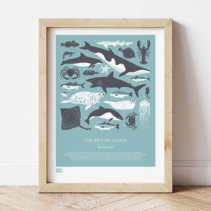 'British Coast: Marine Life' Print in Coastal Blue